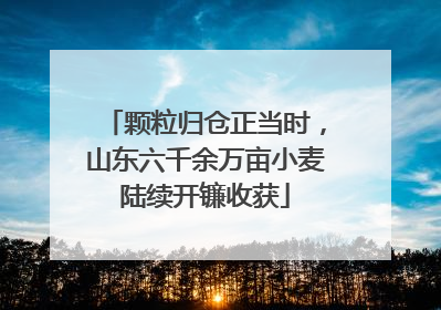 颗粒归仓正当时，山东六千余万亩小麦陆续开镰收获
